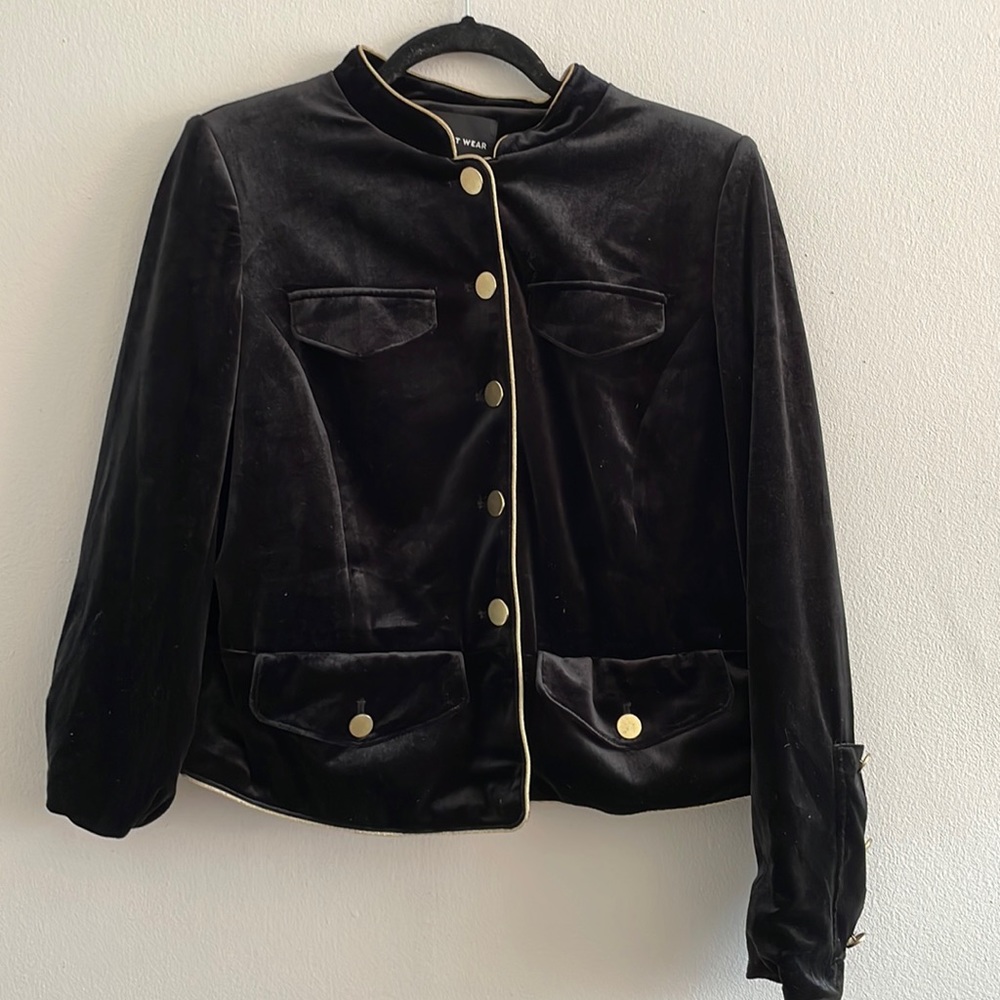 Velvet and Gold trim and buttons